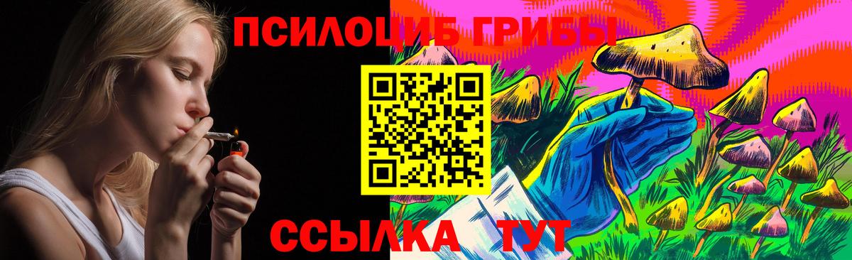 Псилоцибиновые грибы Cubensis  Вход с VPN  Благодарный 
